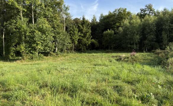 Villa in Coral Gables